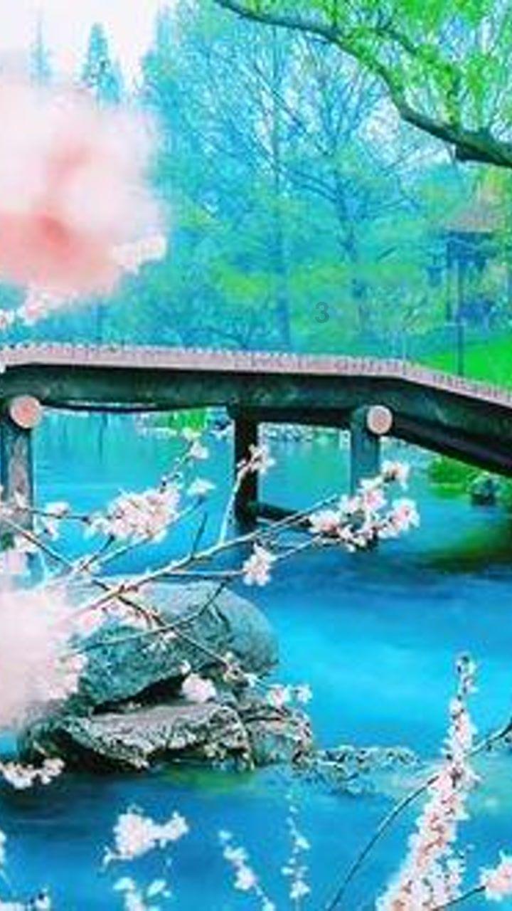 小艾比当营养师